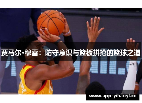 贾马尔·穆雷：防守意识与篮板拼抢的篮球之道